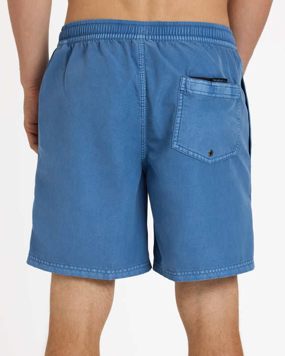 QUIKSILVER EVERYDAY UQYJV03048-BLM0 BOARDSHORT (M)
