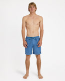 QUIKSILVER EVERYDAY UQYJV03048-BLM0 BOARDSHORT (M)-3