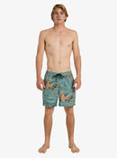 QUIKSILVER EVD PRINTED VL UQYJV03056-GRT9 BOARDSHORT (M)-3