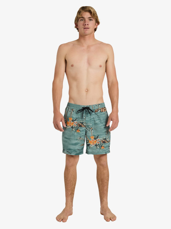 QUIKSILVER EVD PRINTED VL UQYJV03056-GRT9 BOARDSHORT (M)
