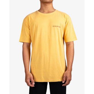 QUIKSILVER OCEAN MEETS  UQYZT05702-YHP0 T-SHIRT SHORT SLEEVE (M)