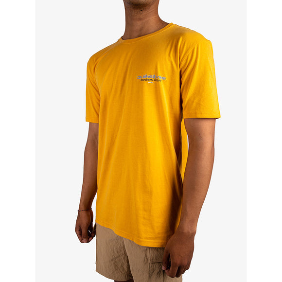 QUIKSILVER SUNFADE SS ID  UQYZT05798-YKM0 T-SHIRT SHORT SLEEVE (M)