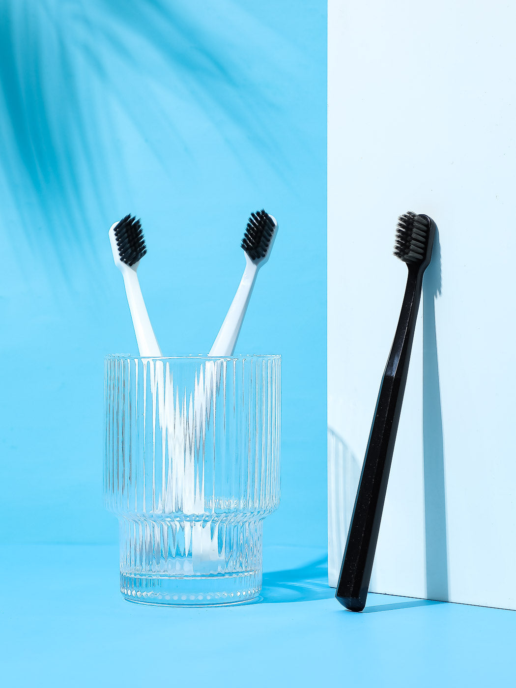 MINISO CLASSIC TOOTHBRUSH ( 3 PACK ) 2006868210108 TOOTHBRUSH