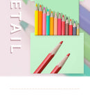 MINISO DOUBLE-HEADED COLOR PENCIL 2007732210101 COLORED PENCIL-4