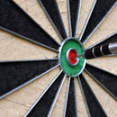 BRISTLE 3006 DART BOARD-2