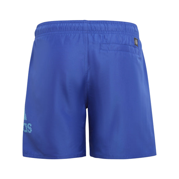 ADIDAS BOS CLX SL IC7696 SHORTS (YB)