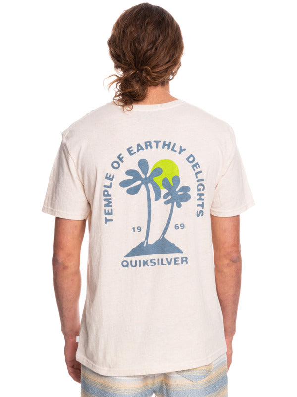 QUIKSILVER EARTHLYDELIGHT EQYZT06776-WCLH T-SHIRT SHORT SLEEVE (M)