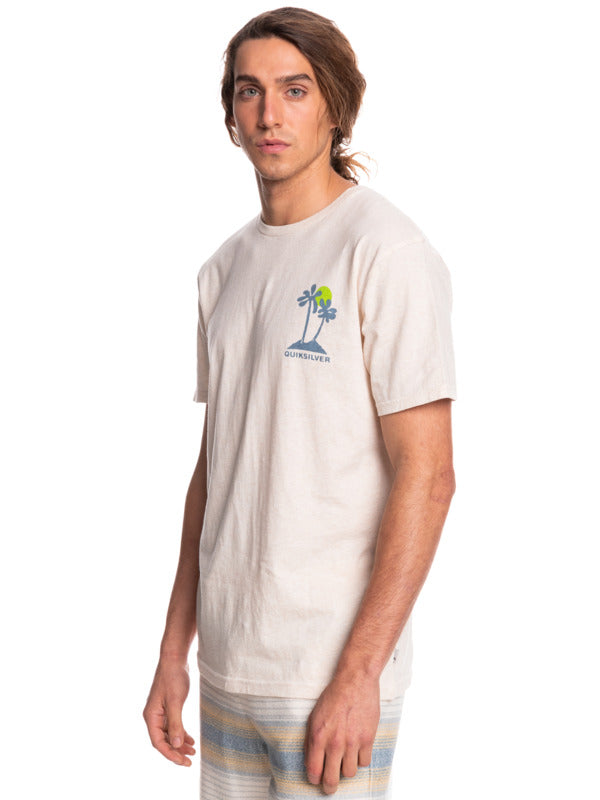 QUIKSILVER EARTHLYDELIGHT EQYZT06776-WCLH T-SHIRT SHORT SLEEVE (M)